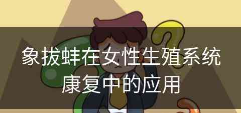 象拔蚌在女性生殖系统康复中的应用